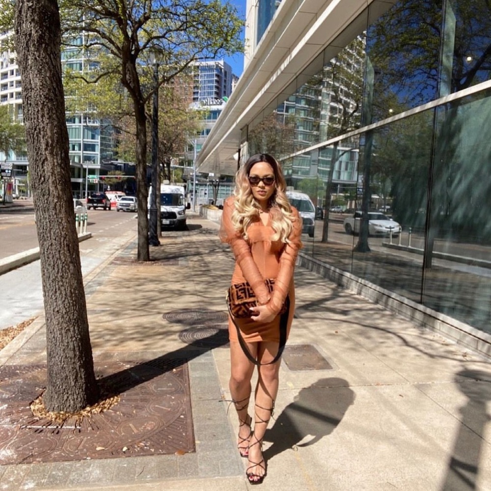 Sheer Ruched Sleeve Dress